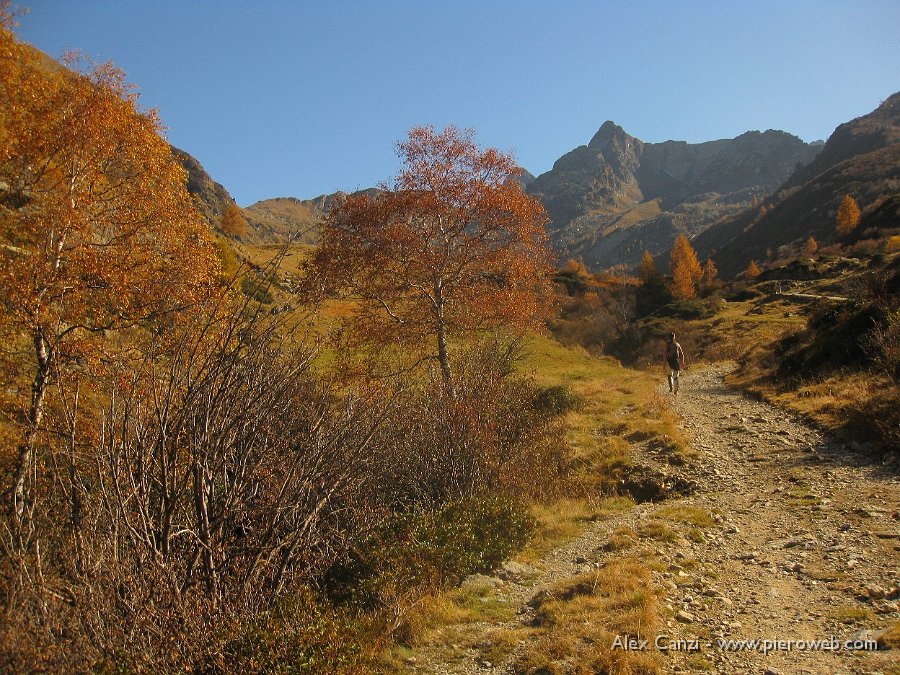 08 ...verso la vetta.jpg